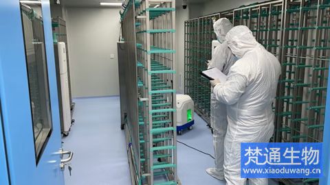 SPF實(shí)驗(yàn)動(dòng)物房消毒